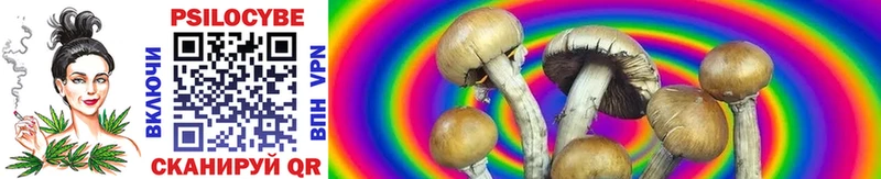 Галлюциногенные грибы Cubensis  darknet формула  Туран 